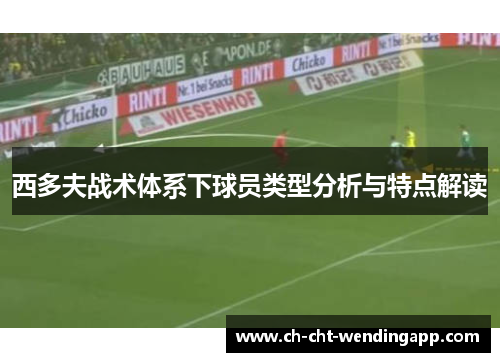 西多夫战术体系下球员类型分析与特点解读