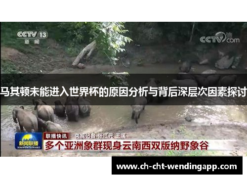 马其顿未能进入世界杯的原因分析与背后深层次因素探讨