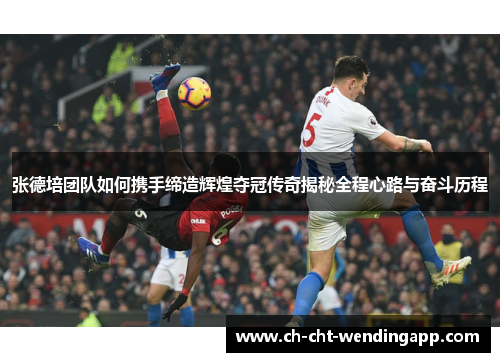 张德培团队如何携手缔造辉煌夺冠传奇揭秘全程心路与奋斗历程