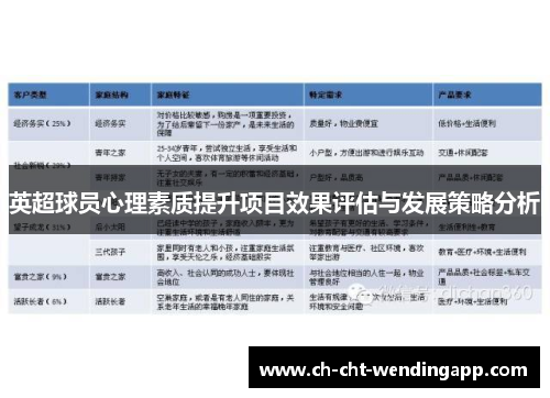 英超球员心理素质提升项目效果评估与发展策略分析